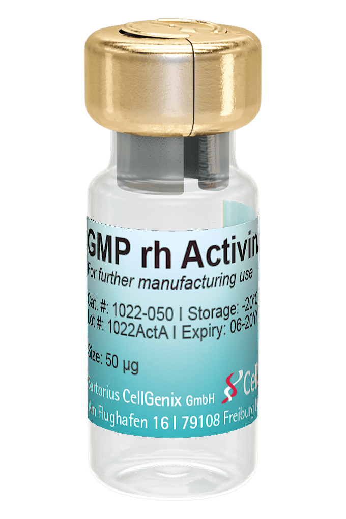 GMP Activin A
